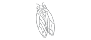 L' Auberge De Saint-Remy